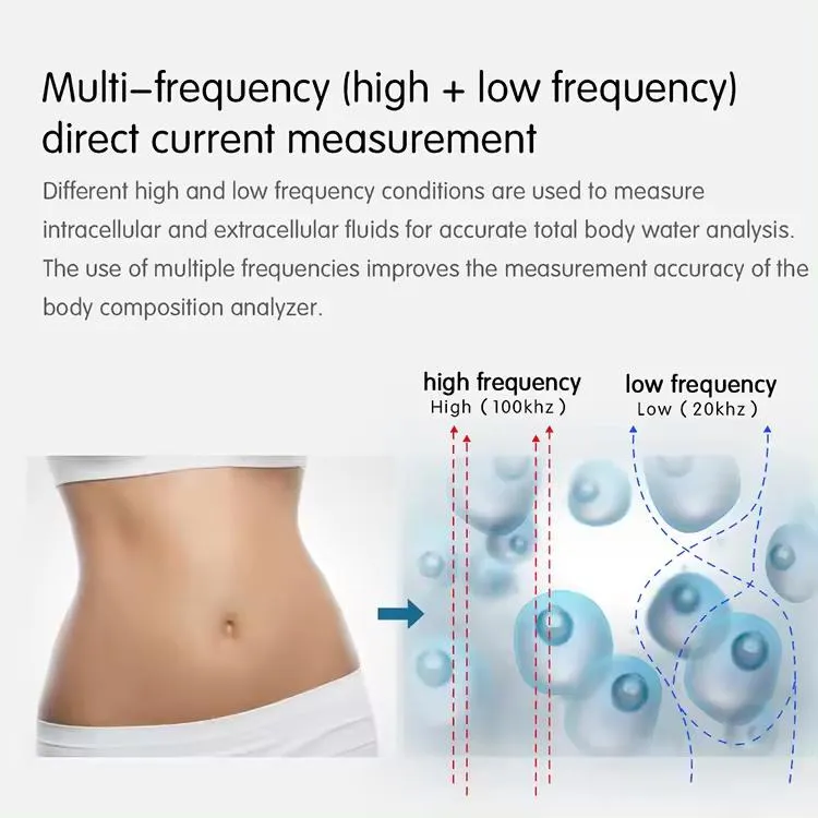 Bioimpedance Analyzer View 4