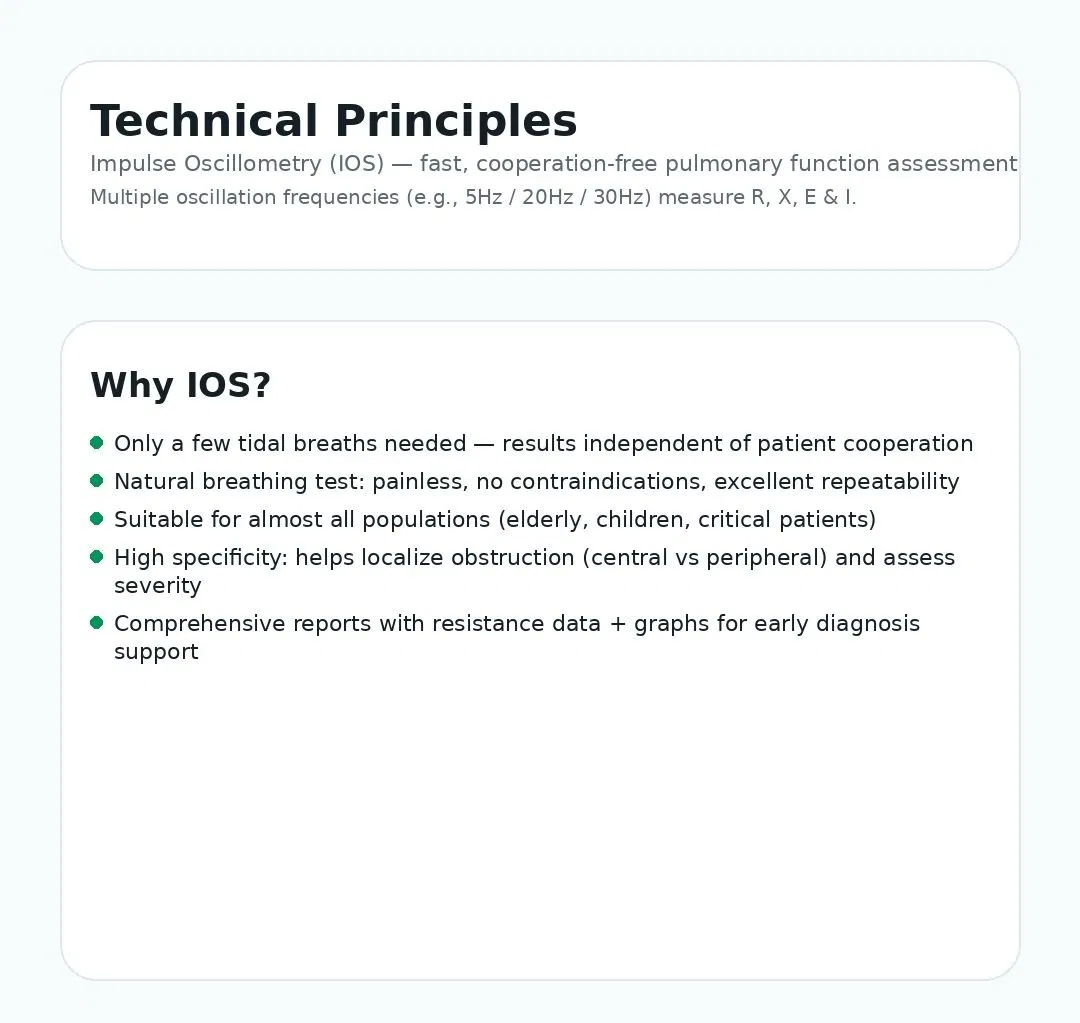 Testing System Interface