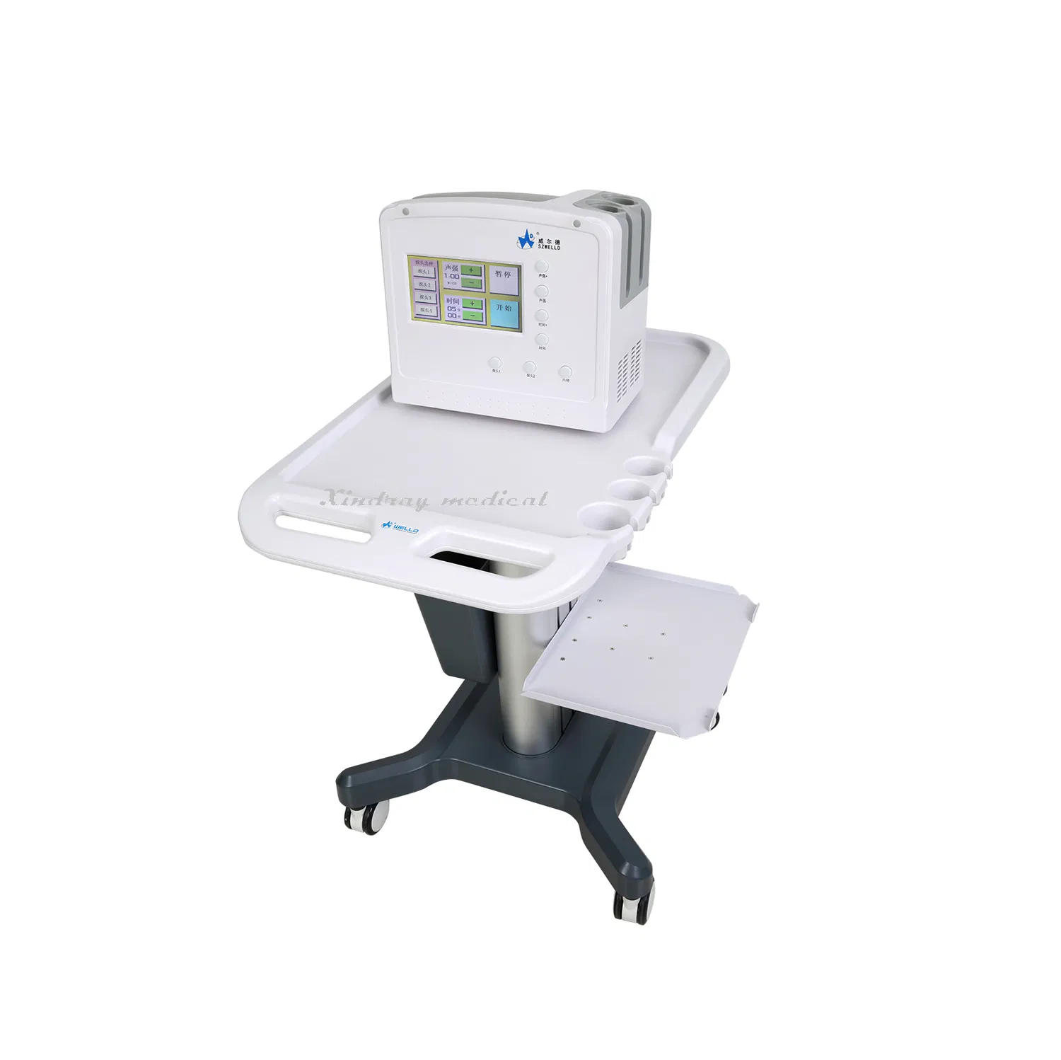 300 Portable Color All-Digital Ultrasonic Therapy Machine