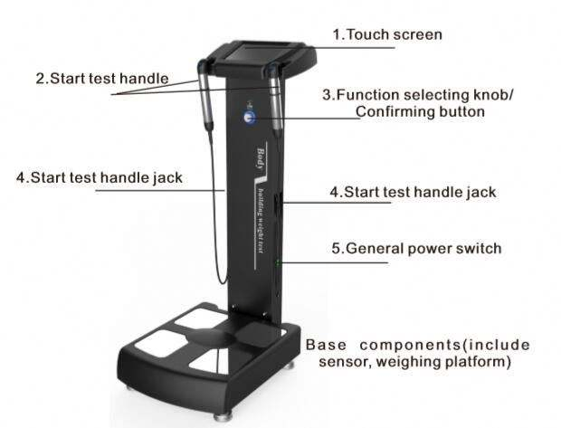 BMI Machine Price Fat Analyzer Professional Body Composition Analyzer with Printer