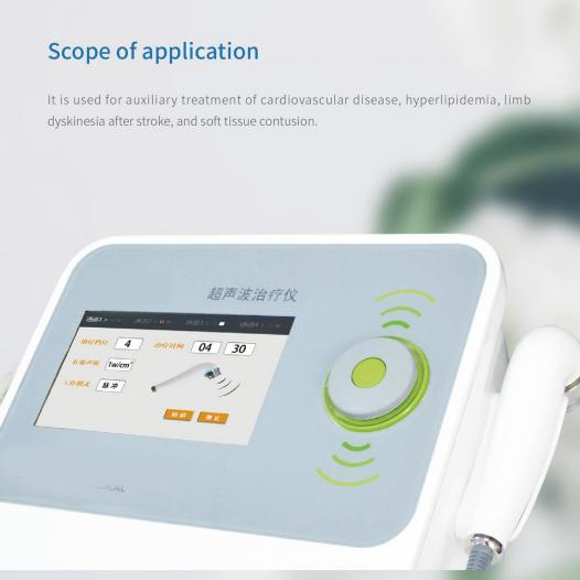 2 Probes Ultrasound Facial Body Skin Massager Therapy Ultrasonic Beauty Machine