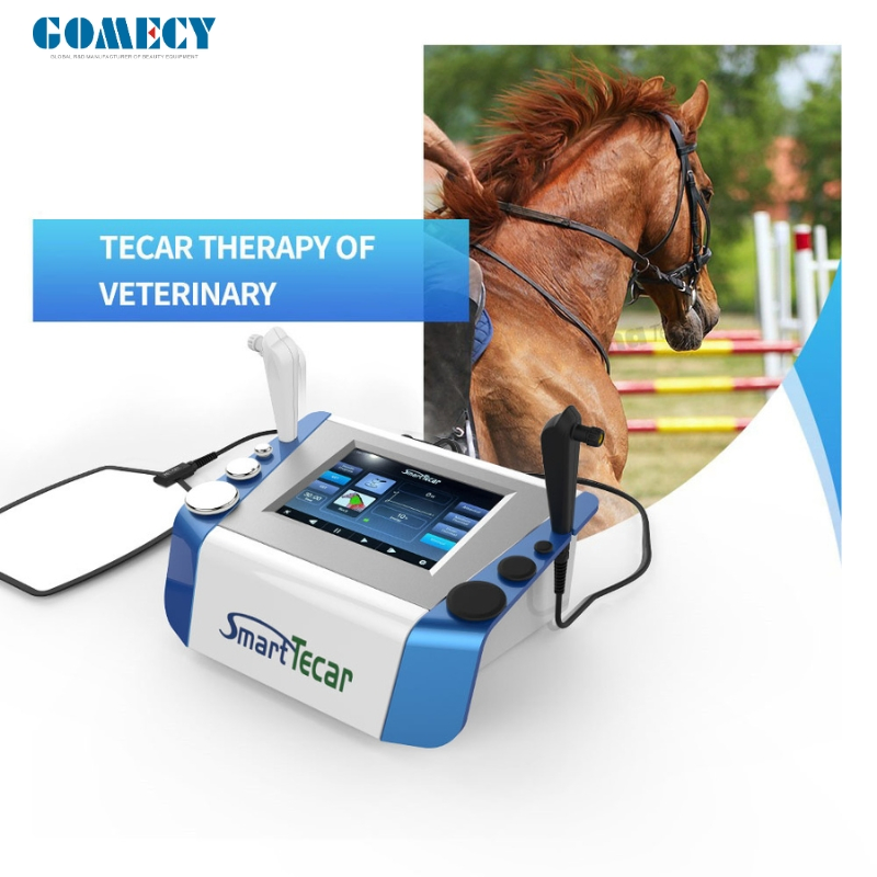 Physiotherapy Device for Horses - Portable Advanced Sports Injury Recovery