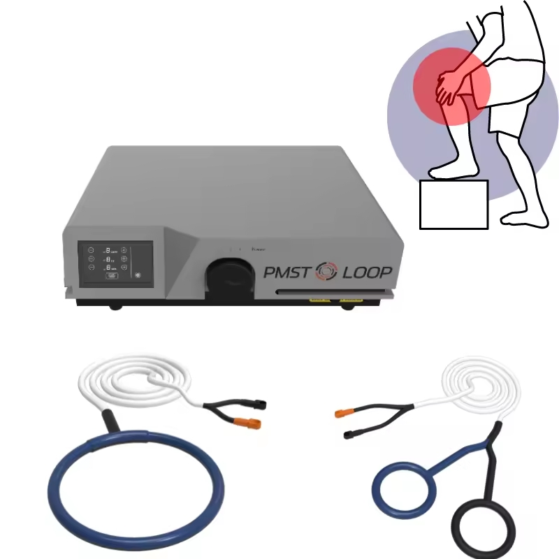 Physio Magneto Pmst Loop Frequency Pulse Magnetism Field Physical Therapy Device for Relief Back Shoulder Pain