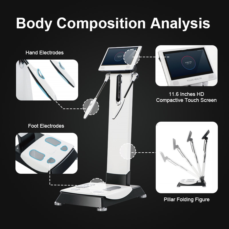 Commercial Fitness 8-Electrode Body Fat Evaluation Scale, Bioelectrical Impedance Technology, Body Composition Analyzer