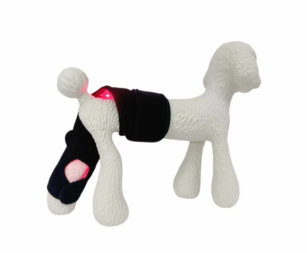 Pet Wellness Technology