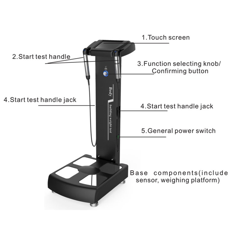 Inbody Body Analyzer Machine, Professional Health Care, Weight Test, Fat Composition with WiFi Body Composition Analyzer