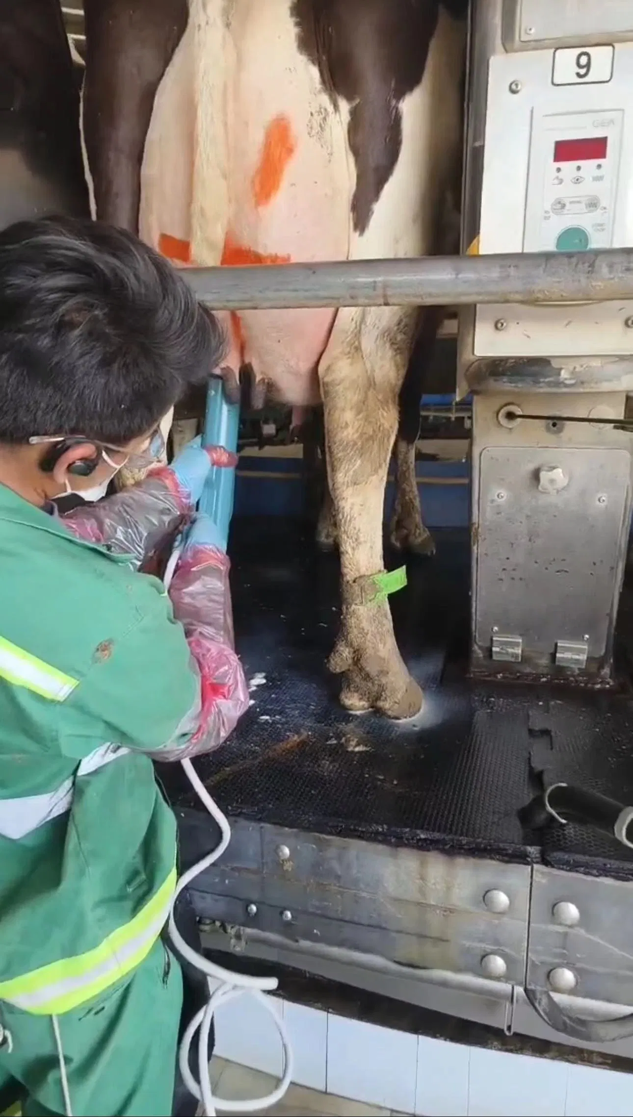 Cow Nipple Disease Mastitis Treatment Device S Onic Pulse Therapy (APT)