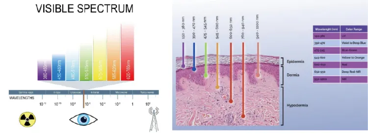 Light Spectrum Information
