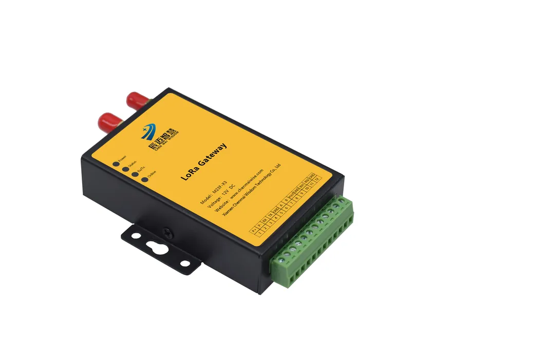 M21f-V63 Lora Terminal View 3