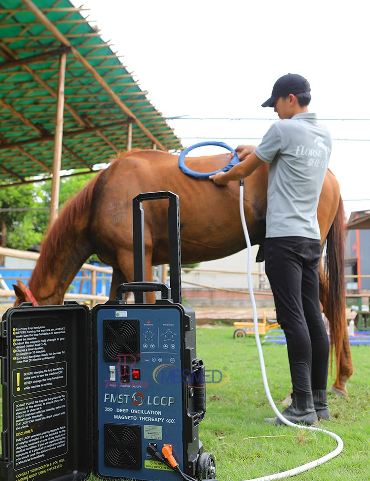 Horse Farm Animal Pet Pain Therapy Health Care Pmst Loop Electromagnetic Pulse Generator Magnetic Therapy Device