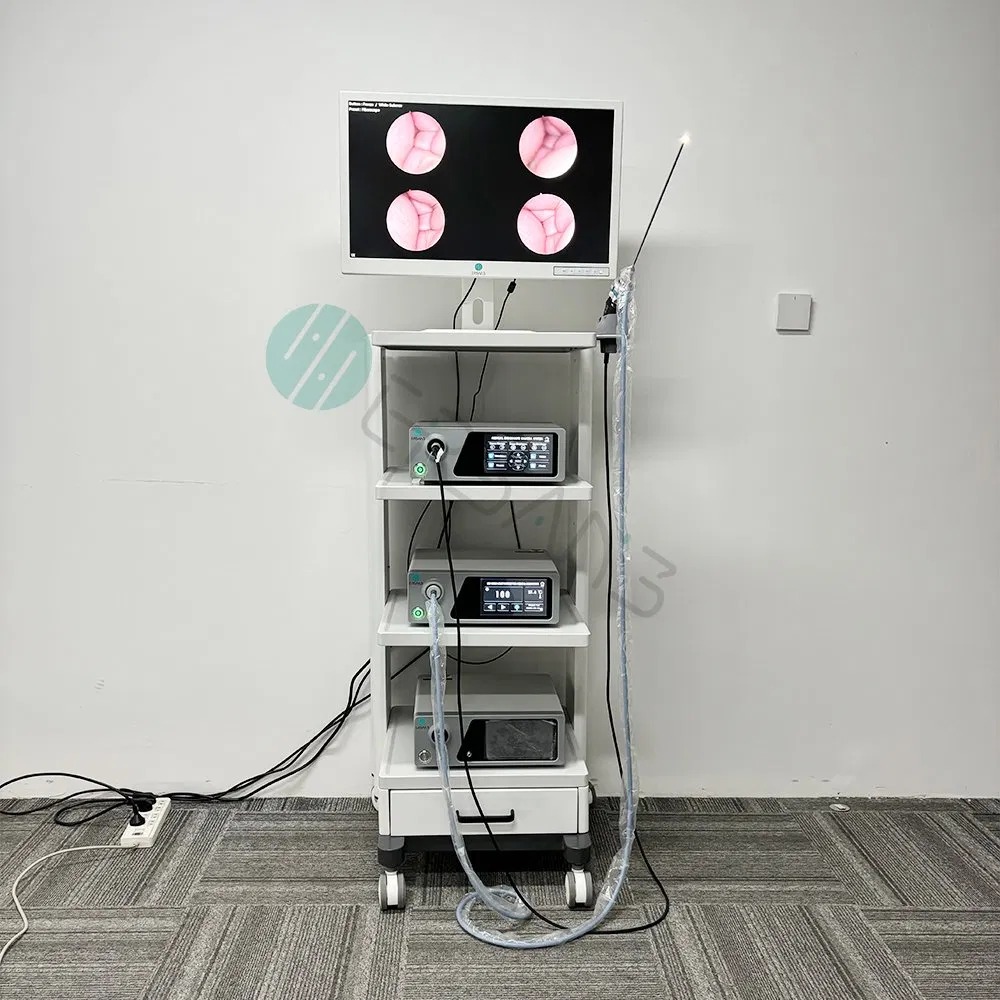 New Cheap 4K UHD Endoscopy Camera System for Ent Arthroscopy Spine Laparoscopy Urology Gynecology