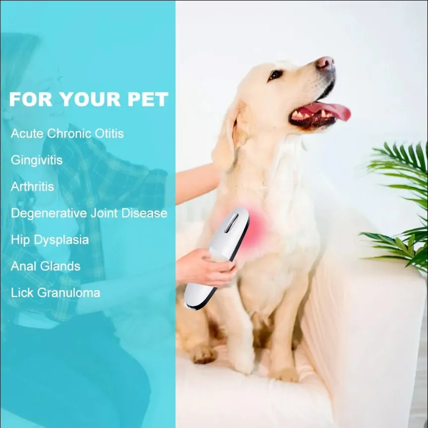 Wound Healing for Pets