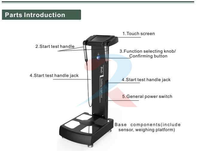Professional Full Body Composition Analyzer Electronic Scale Muscle Resonance Analyzer Color Printer BMI Measurement Machine