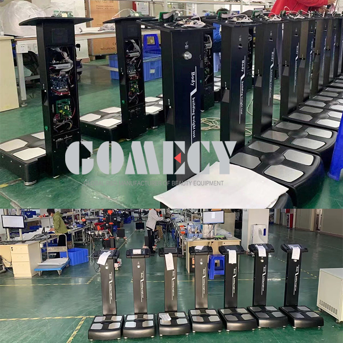 Revolutionary 10.1 - Inch Touchscreen Body Composition Analyzer: All - in - One Health Assessment Device