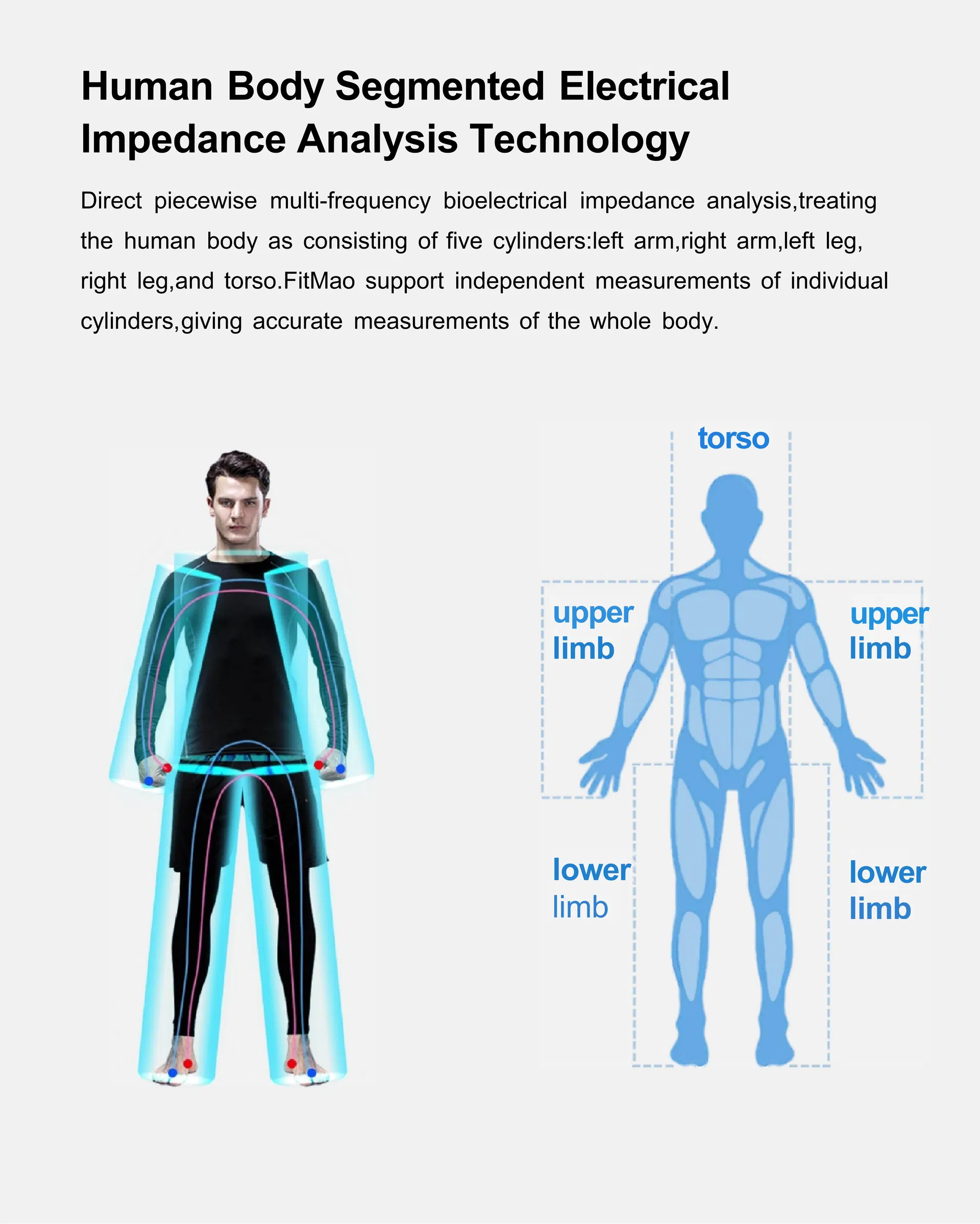 Body Composition Analyzer Display 6