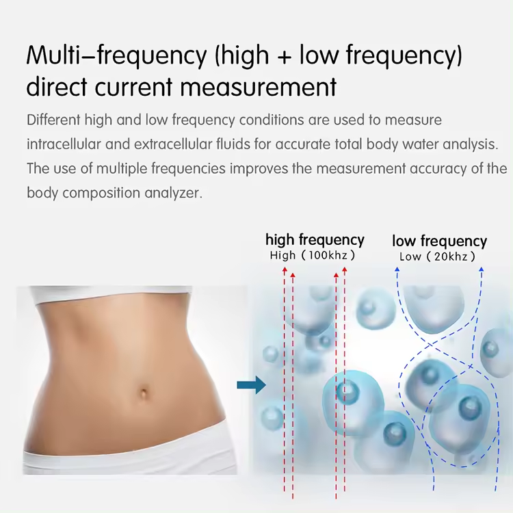 Full Body Composition Analysis Professional Bioimpedance Analyzer with Eight Electrodes