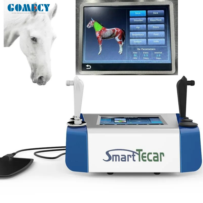 Physiotherapy Device for Horses - Portable Advanced Sports Injury Recovery