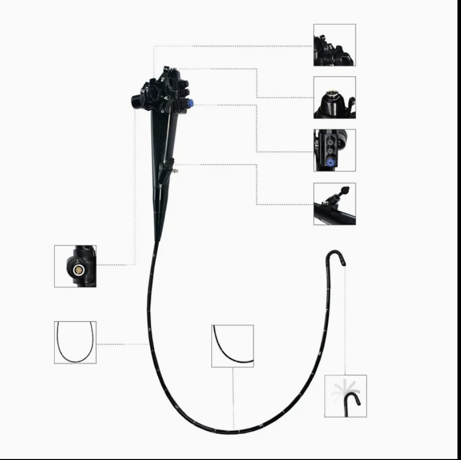 Diagnosis Equipment Comprehensioned Digital Endoscope Imaging System