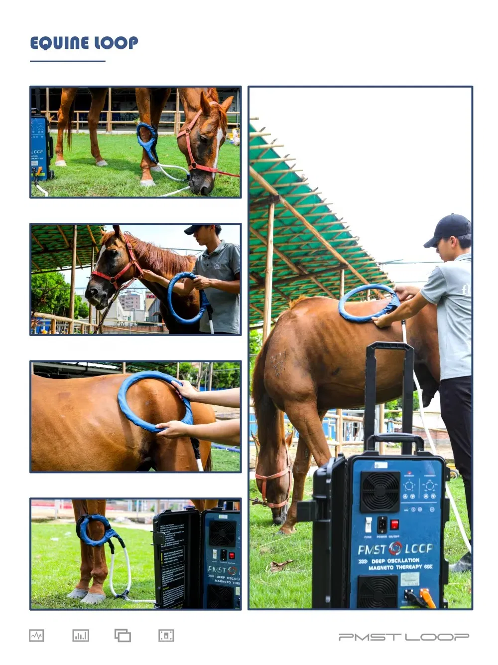 Pemf Vet Magnetic Pulse Pemf Therapy Device for Vet Pain Relief