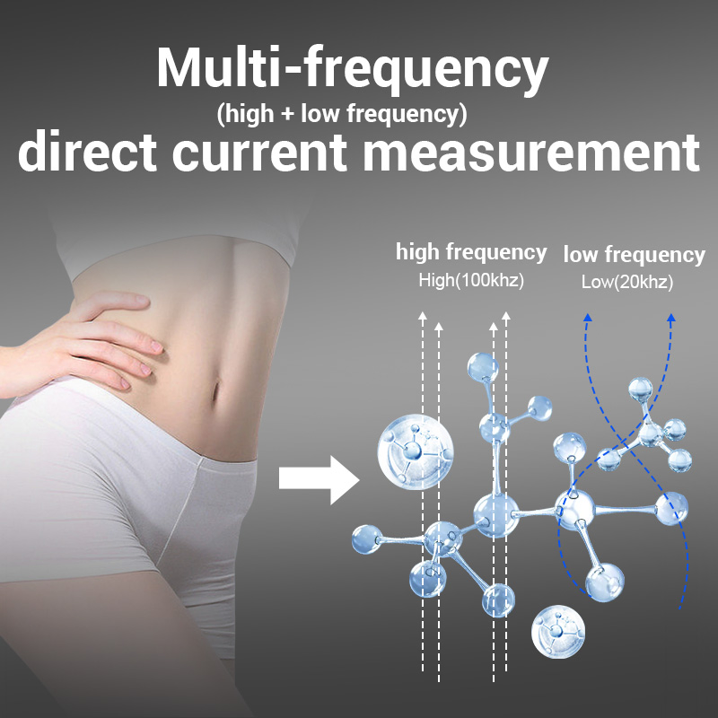 Gym Professional 8-Electrode Body Fat Meter, Bioimpedance Technology, Body Composition Analyzer
