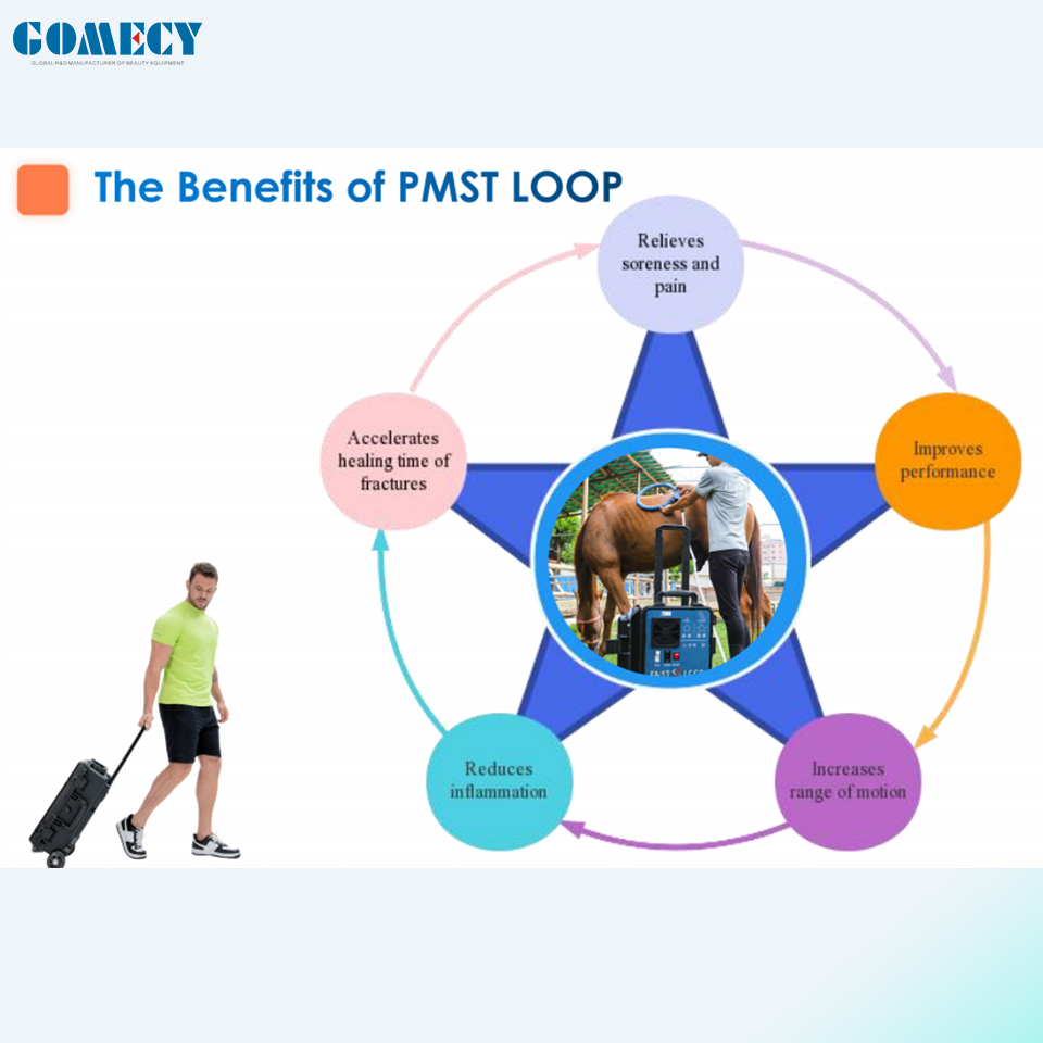 Pemf Vet Magnetic Pulse Pemf Therapy Device for Vet Pain Relief