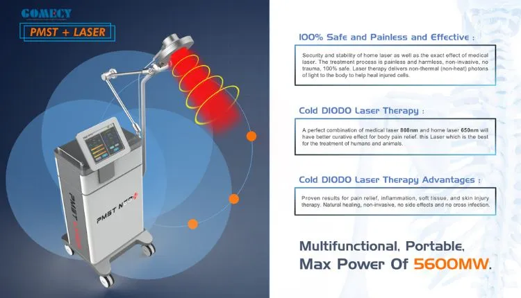 Therapy System Device 2