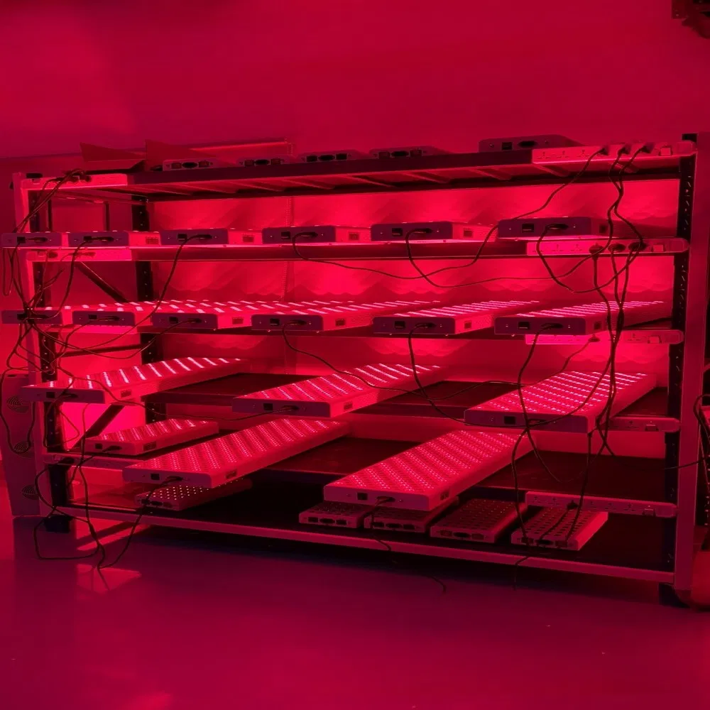 Red Light Therapy Device 7