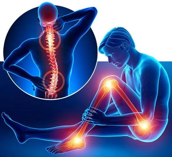 Rehabilitation Equipment