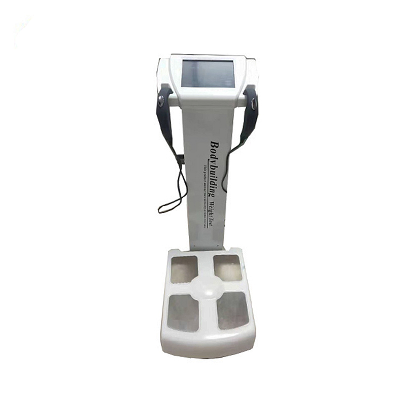 Professional Body Health Body Composition Analyzer (GS6.5B)