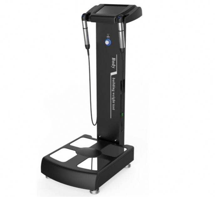 BMI Machine Price Fat Analyzer Professional Body Composition Analyzer with Printer