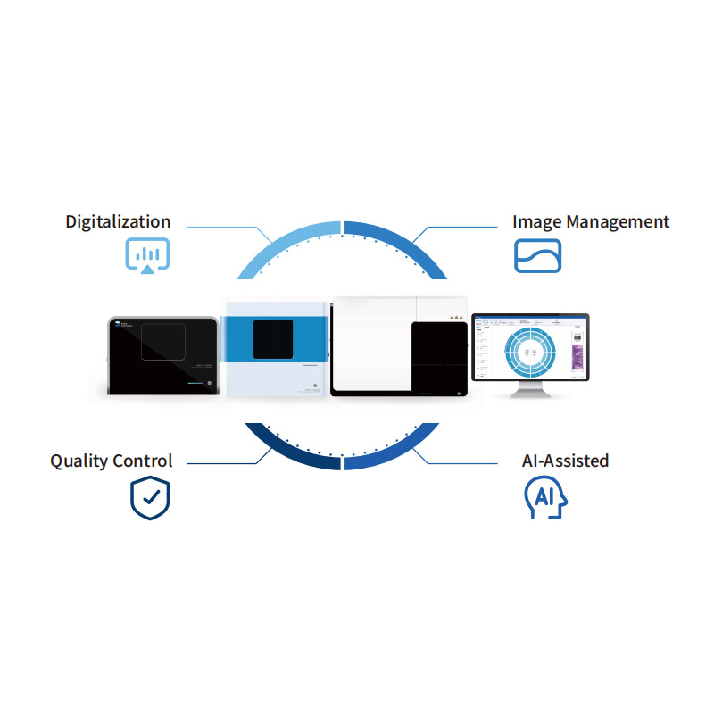 Digital Intelligent Pathology Ai Assisted Diagnosis System