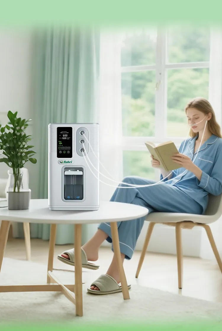 Hydrogen Generator Application