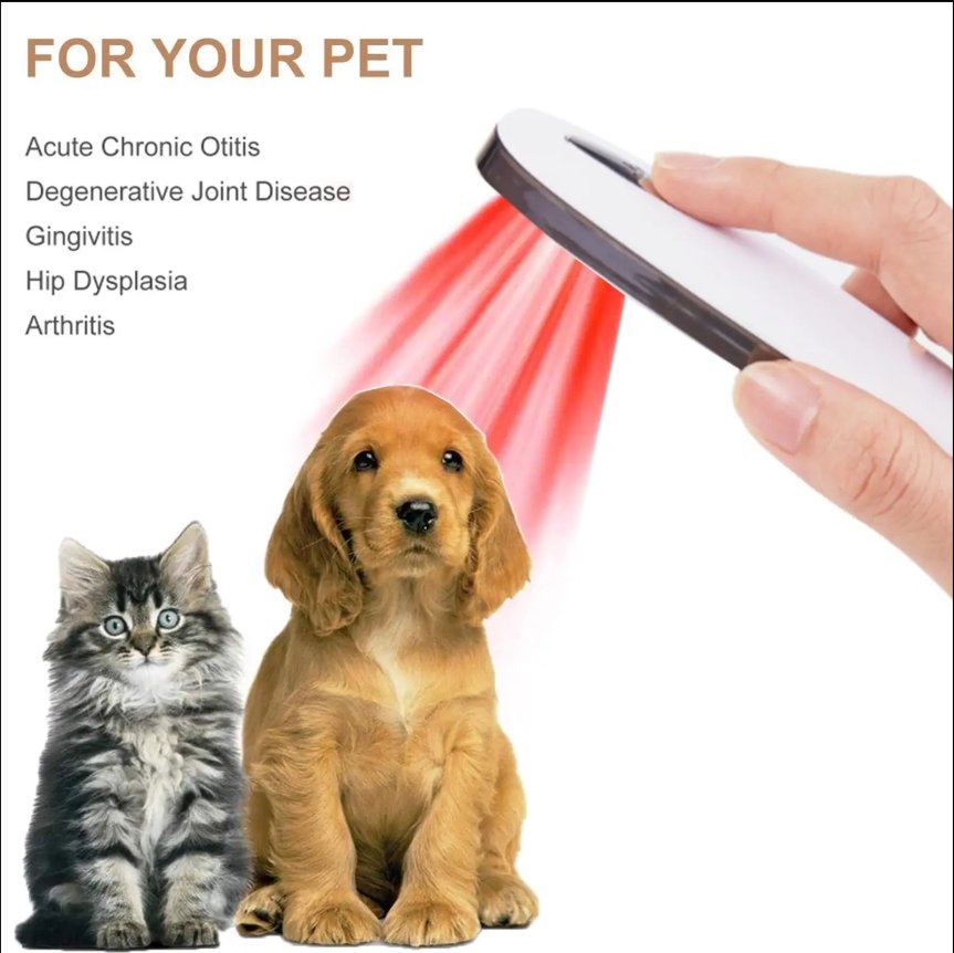 Infrared Therapy Device for Pets: Healing Light for Wounded Friends
