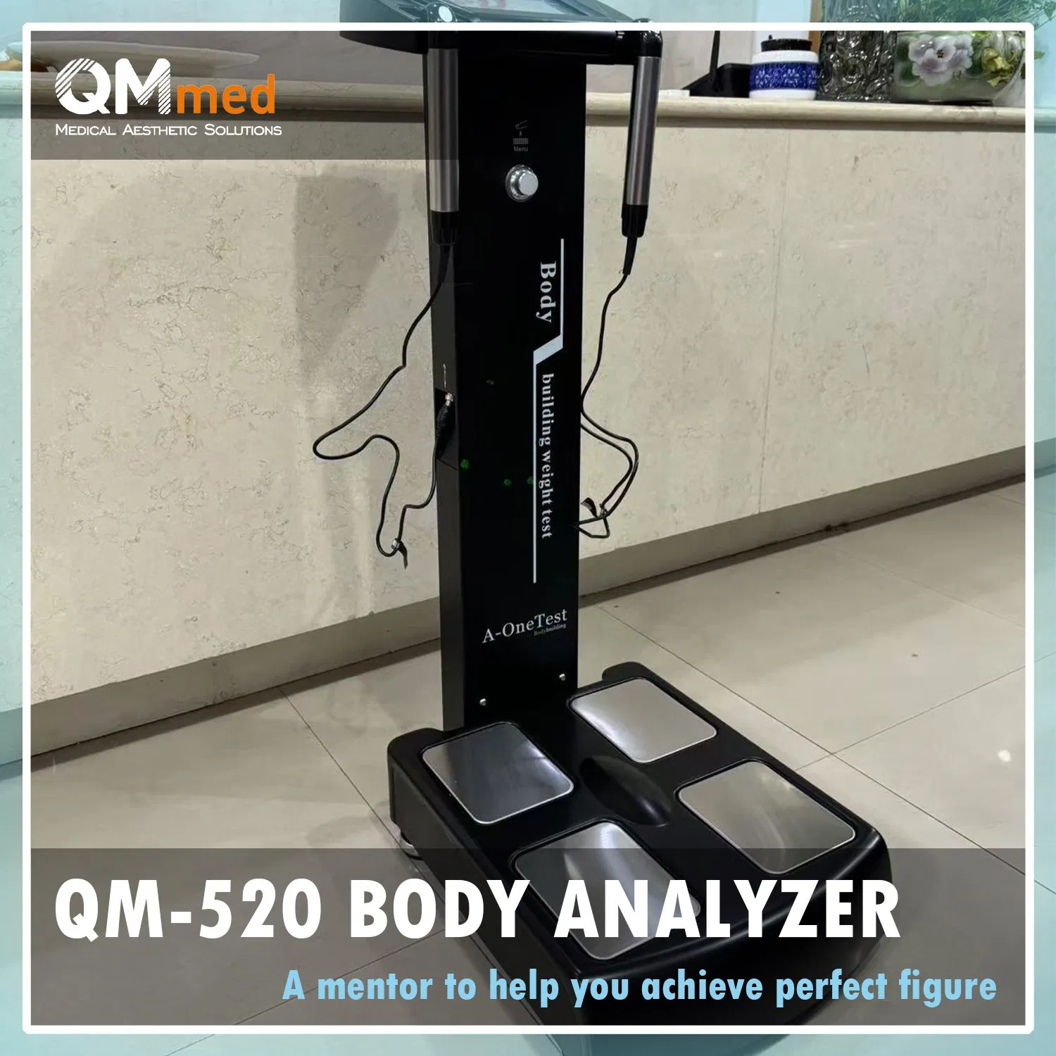 Professional Weight Test System Body Fat Composition Analyzer Machine for Gym Health Center and EMS Fitness Training Use