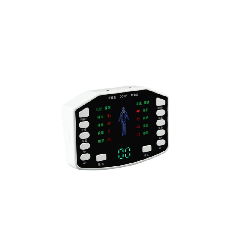 Portable Dual Channel EMS Pain Relief Device for Whole Body Therapy
