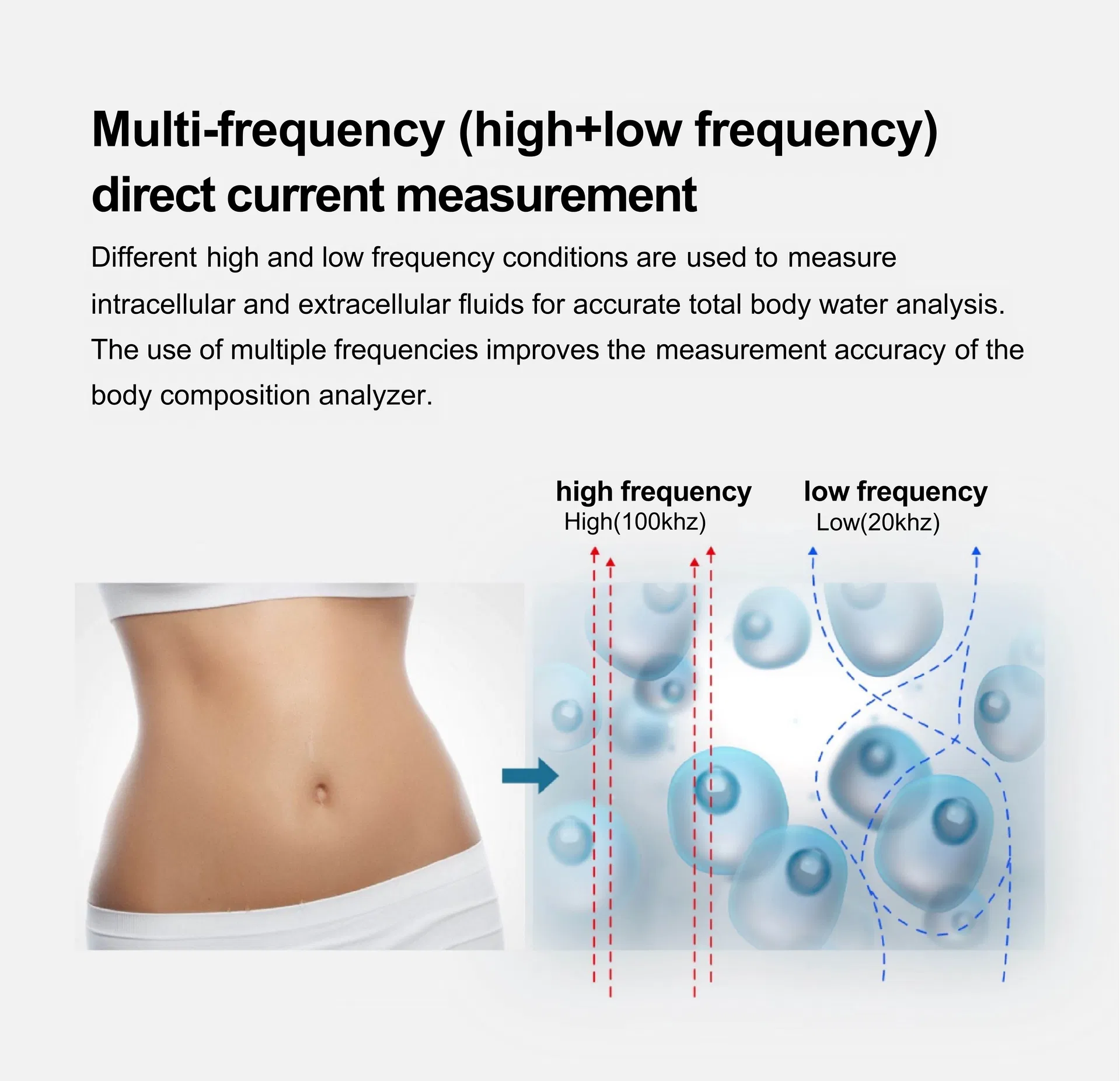 Body Composition Analyzer Display 7