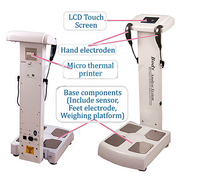 Professional Body Health Body Composition Analyzer (GS6.5B)