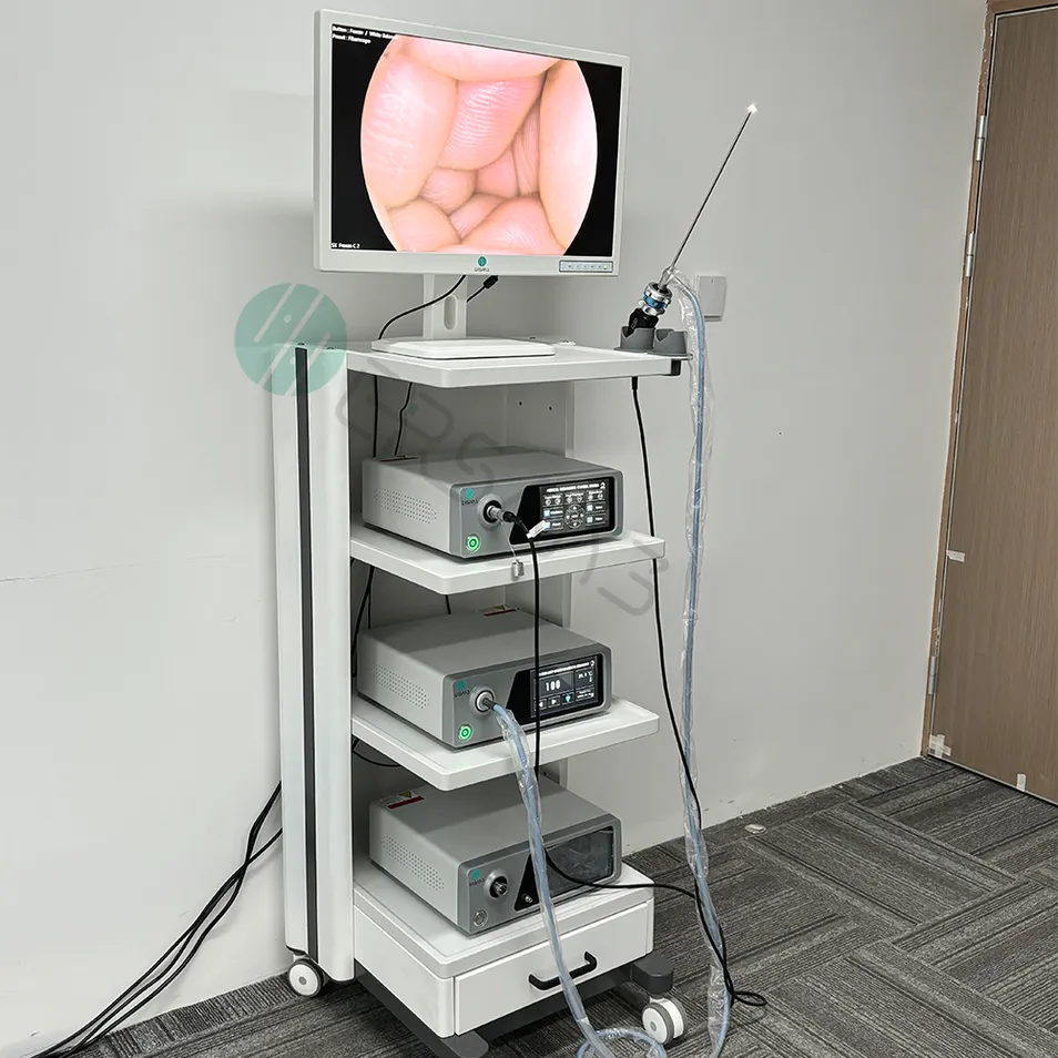 Endoscope Camera System Display 2