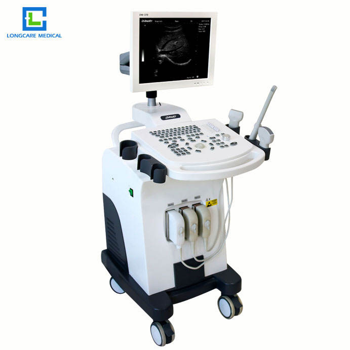 Yh-Vet 7 High Elements Trolley Digital Veterinary Ultrasound Diagnostic System