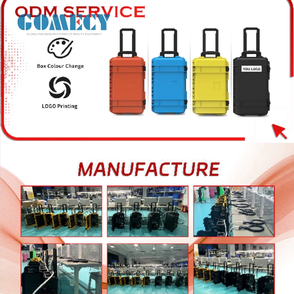 PEMF Therapy System Details