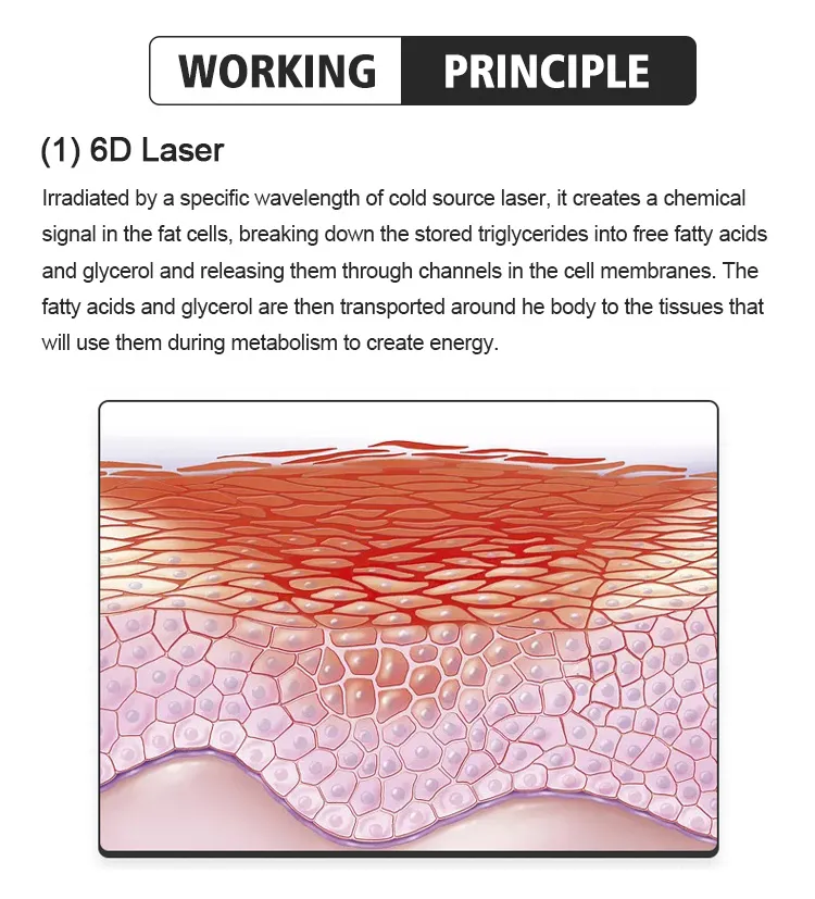 Therapy Device Detail