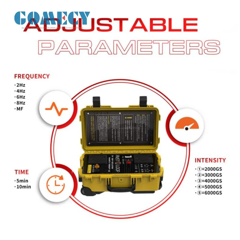 Portable Electromagnetic Therapy Device with Multifrequency Programs for Physiotherapy and Wellness