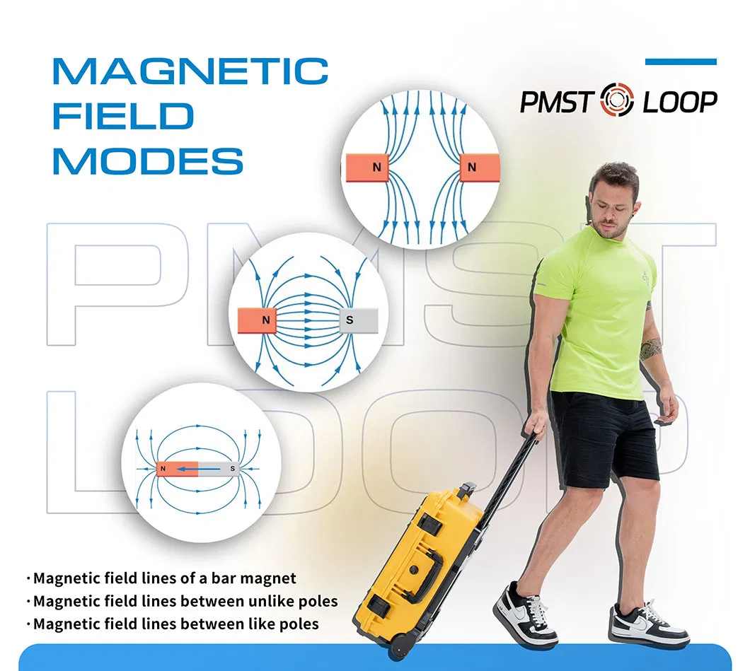 Pulsed Electromagnetic Fields Therapy