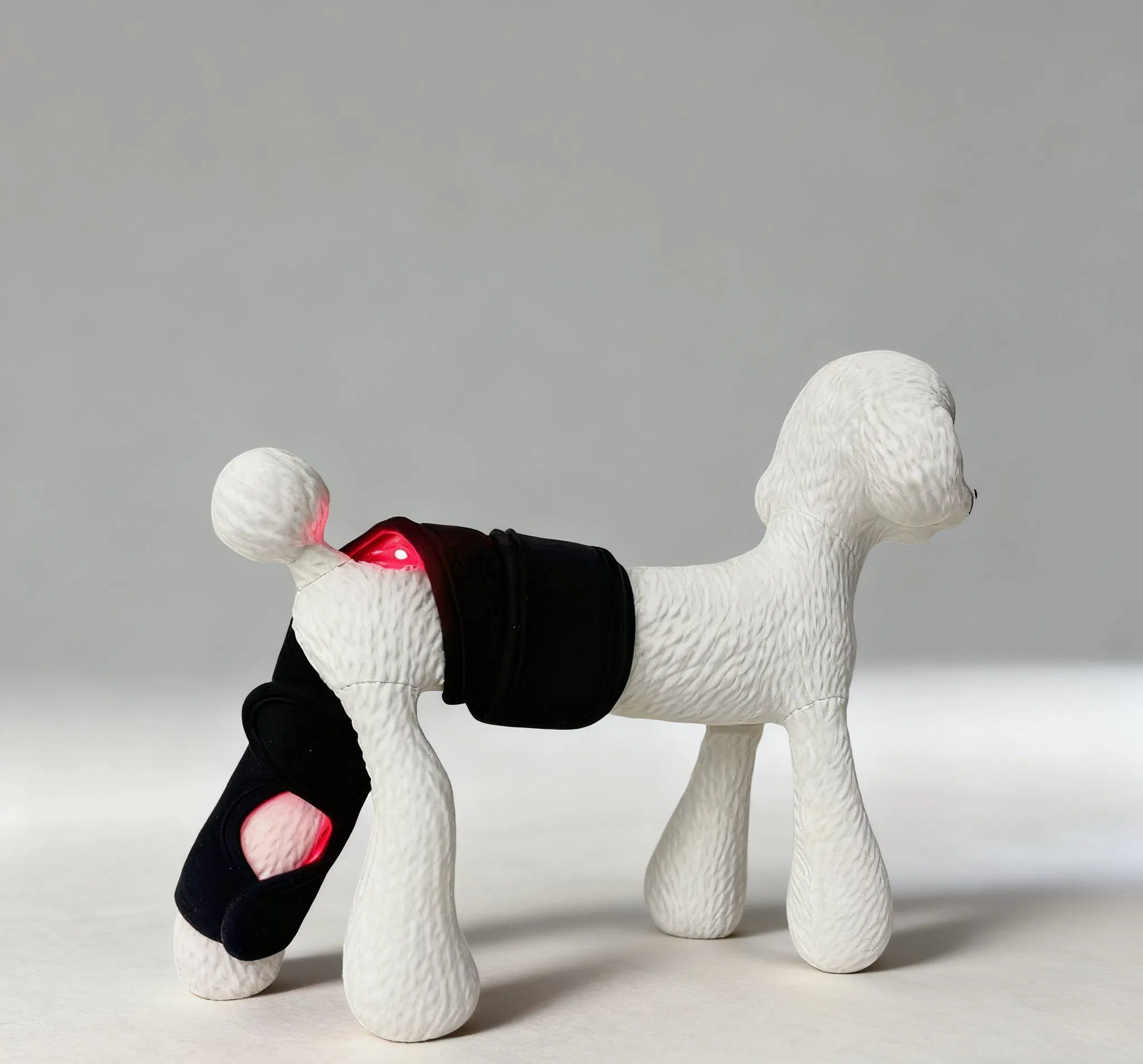 Infrared Light Therapy Device for Pet Pain Relief