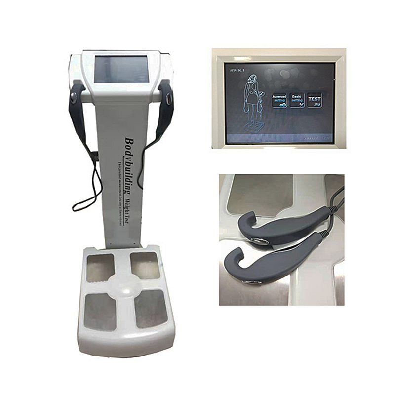 Professional Body Health Body Composition Analyzer (GS6.5B)