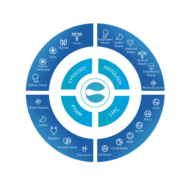 Digital Intelligent Pathology Ai Assisted Diagnosis System