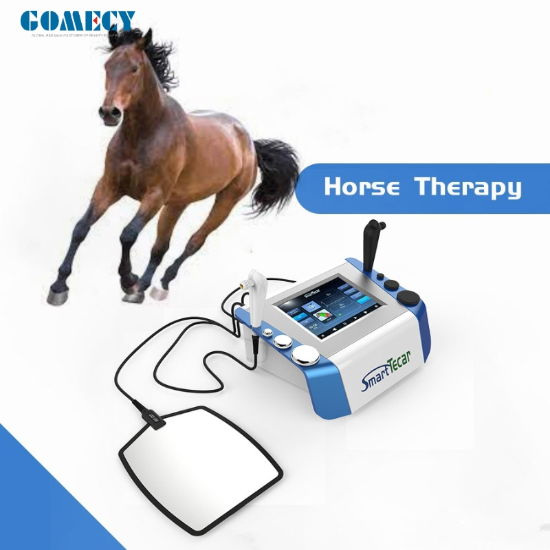 Physiotherapy Device for Horses - Portable Advanced Sports Injury Recovery