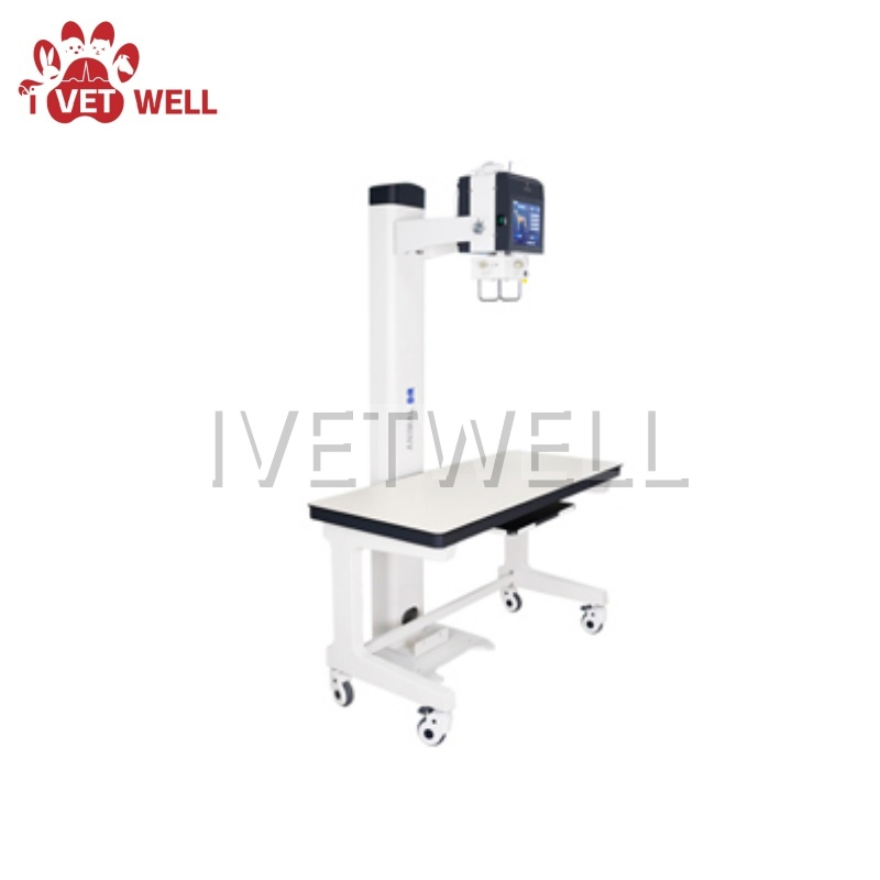 High-Resolution Animal Digital X-ray Imaging System for Accurate Diagnosis