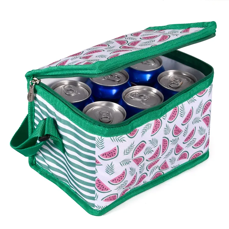 Bolsa de aislamiento térmico no tejido personalizada de fábrica con cremallera