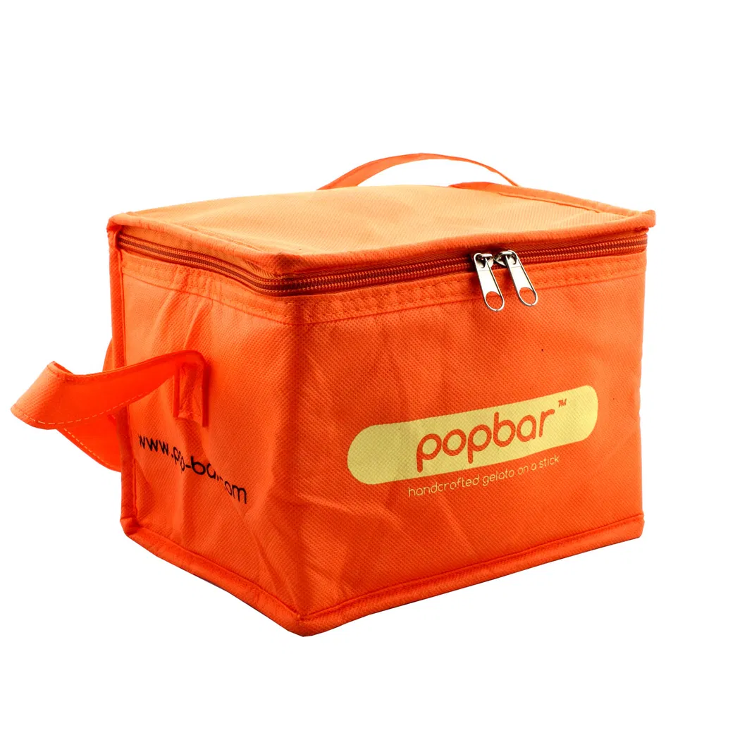 Bolsa Térmica Aislada Caliente Fría 6 - 24 para Botella Impresa de Entrega de Comida Almuerzo Picnic